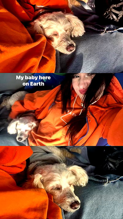 feelbetterinmysweater feelbetterinmysweater archive video