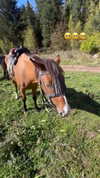 ilana.21 Altpins Profile Picture