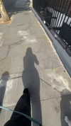 777pb_ Altpins Profile Picture