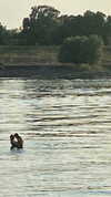 leni.bahr Altpins Profile Picture