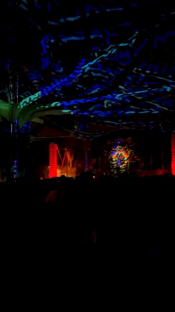 _b__eva__ archive video preview