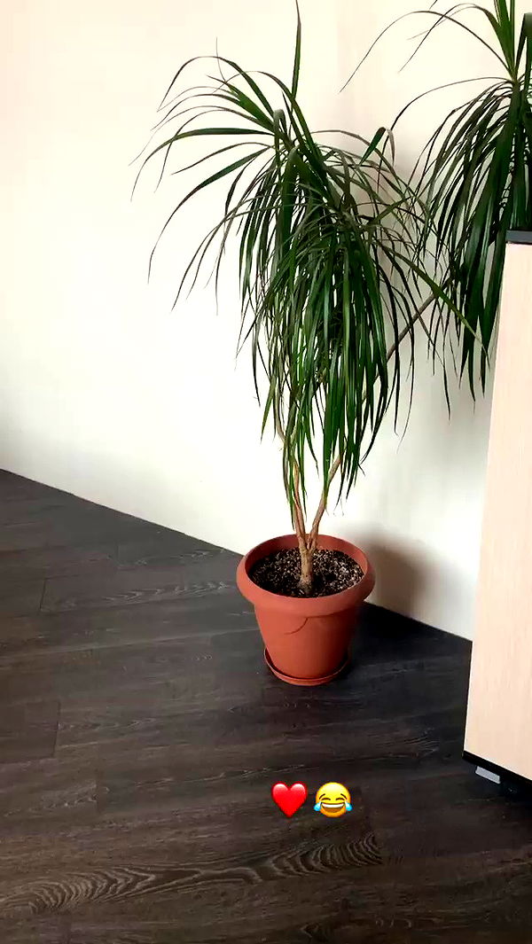 nyityam archive video preview