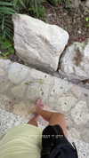itsilanosh Altpins Profile Picture