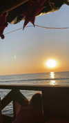 lesliesancheezz Altpins Profile Picture