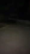dante_yangpa Altpins Profile Picture