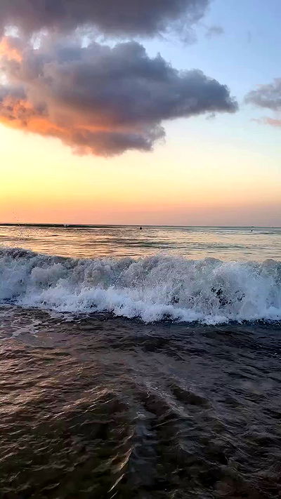 taylor.creeden taylor.creeden archive video