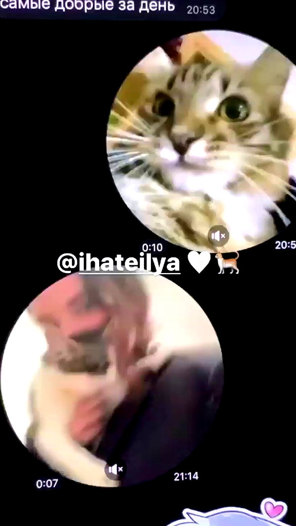 ptpchik archive video preview