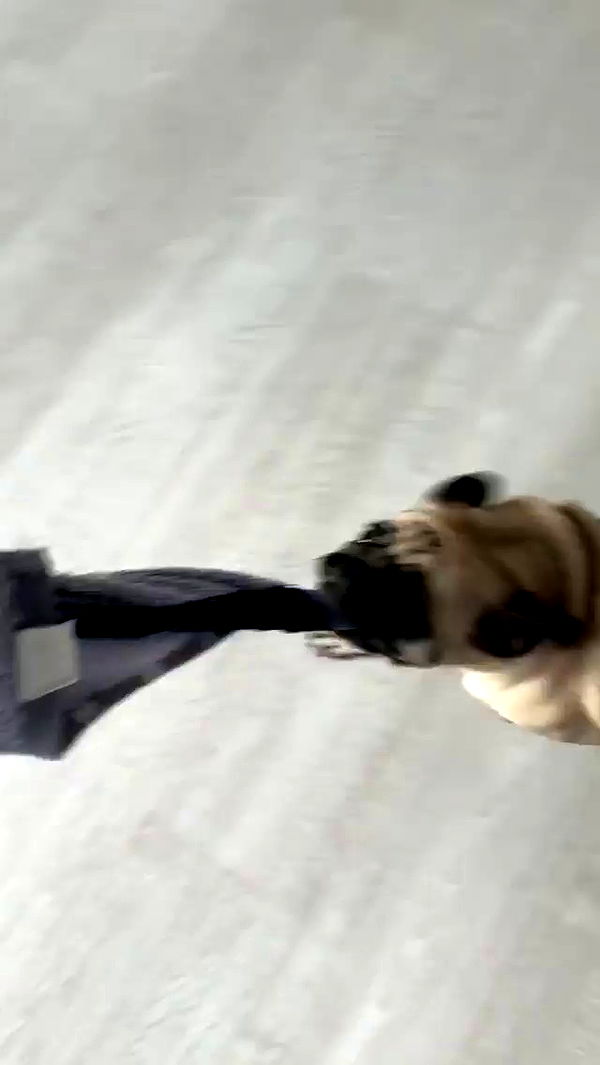 nyityam archive video preview