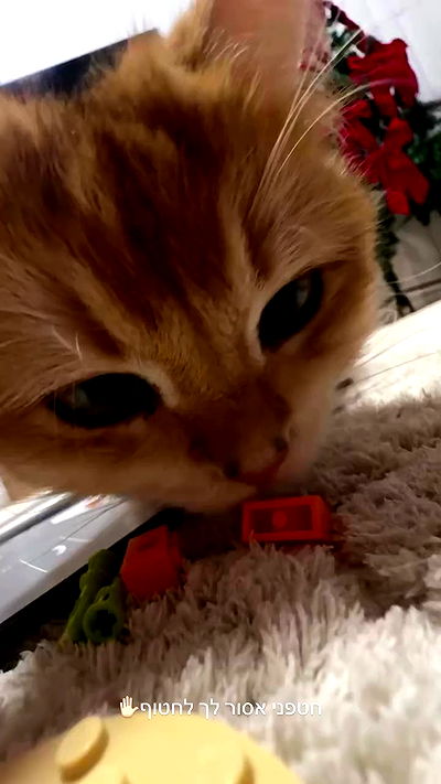 itsilanosh itsilanosh archive video