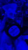 b6ylexx Altpins Profile Picture