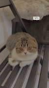 sonia_litvanchuk Altpins Profile Picture