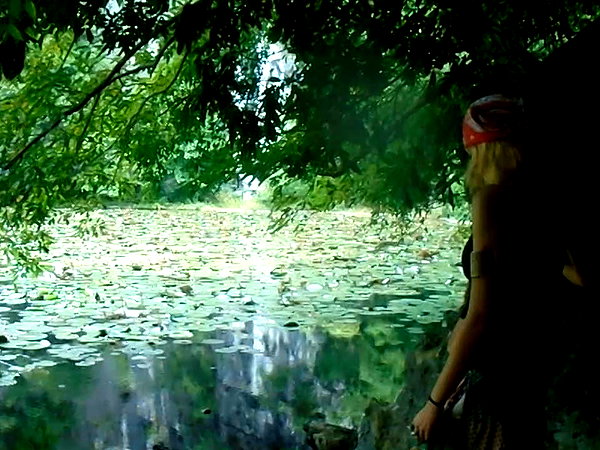 elia.shinar archive video preview