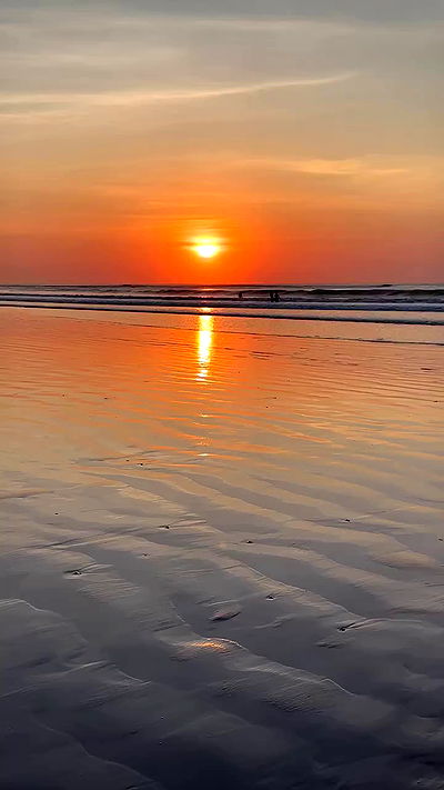 taylor.creeden taylor.creeden archive video