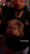 allissashin Altpins Profile Picture