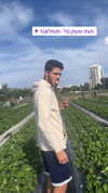 galibilaus Altpins Profile Picture