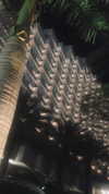 avital_1010.2003 Altpins Profile Picture