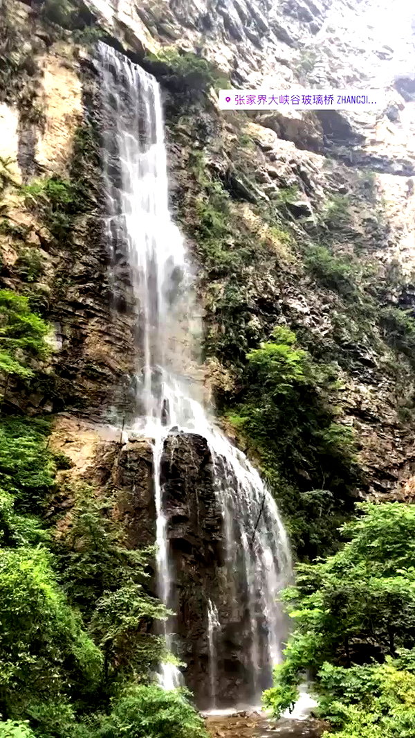 nikoleta.milenova archive video preview