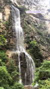 nikoleta.milenova Altpins Profile Picture