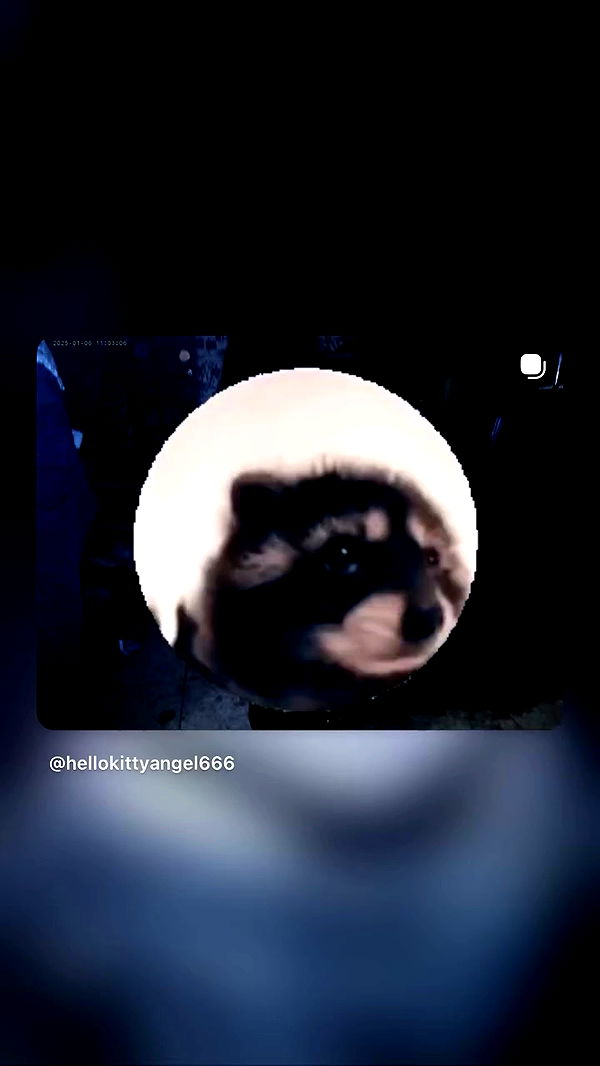 hellokittyangel666 archive video preview