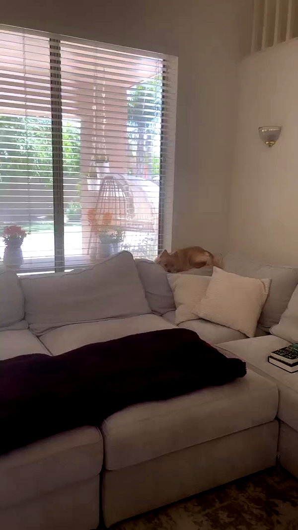 sunnyrayyxo archive video preview