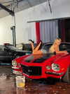 samantra_official Altpins Profile Picture