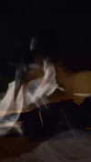 suspiria.em Altpins Profile Picture