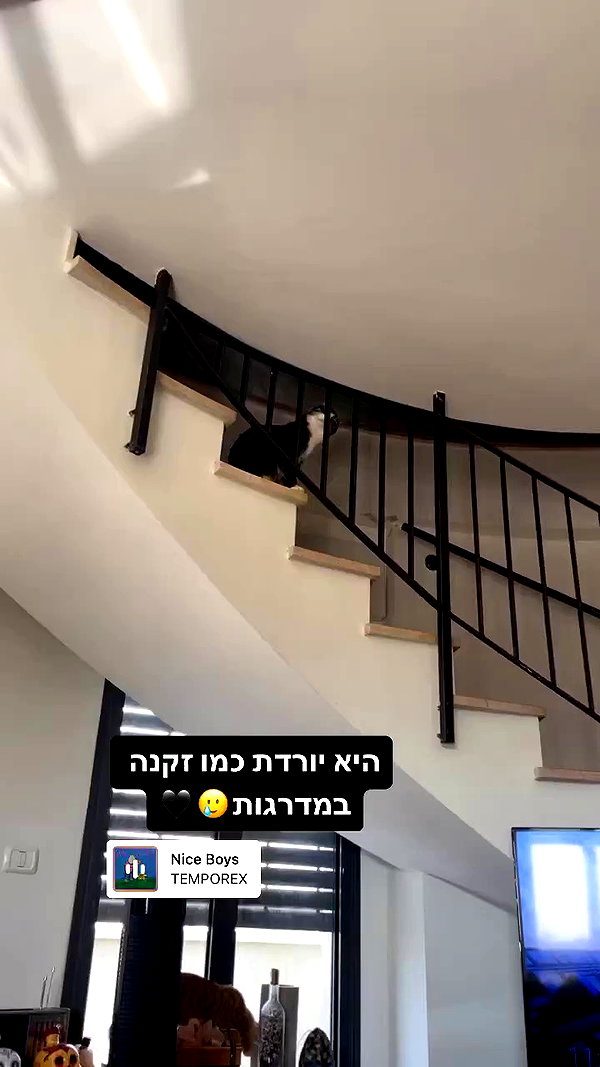 ronyida_ archive video preview