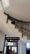 ronyida_ Altpins Profile Picture