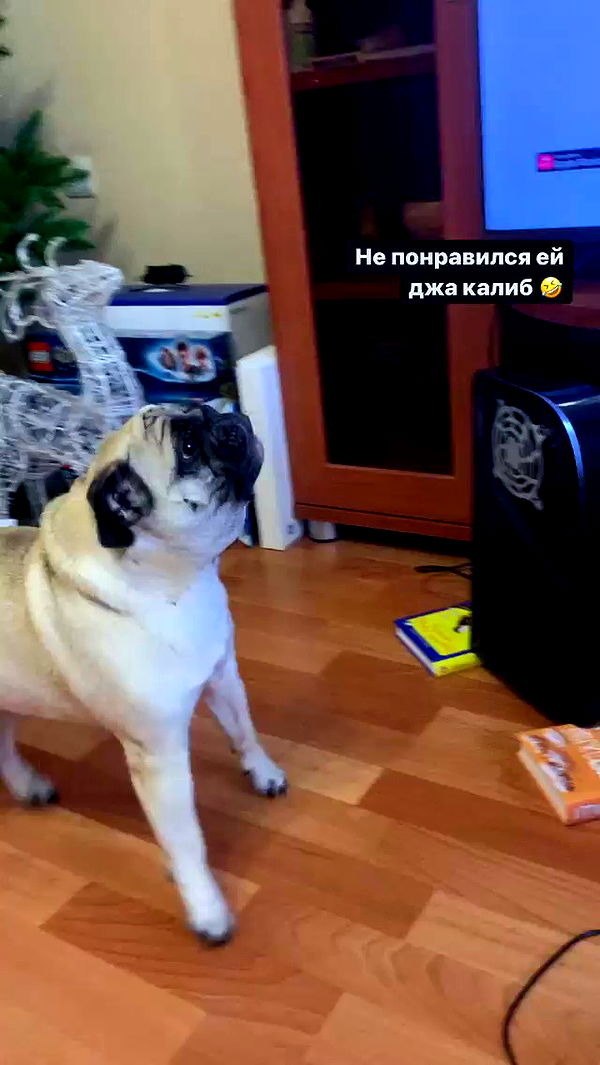 nyityam archive video preview