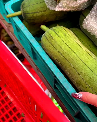 ting851204 ting851204 archive video