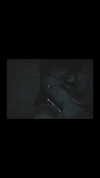 pol_cherie Altpins Profile Picture