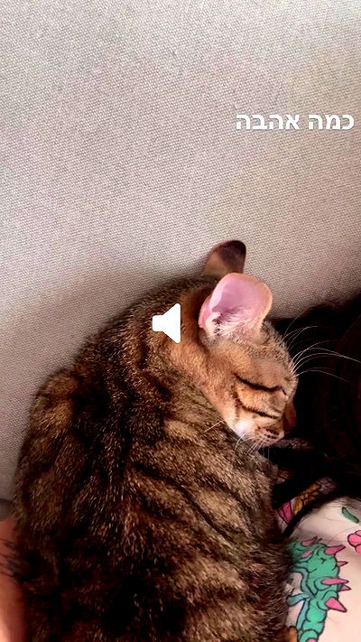 hellokittyangel666 hellokittyangel666 archive video