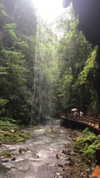 nikoleta.milenova Altpins Profile Picture