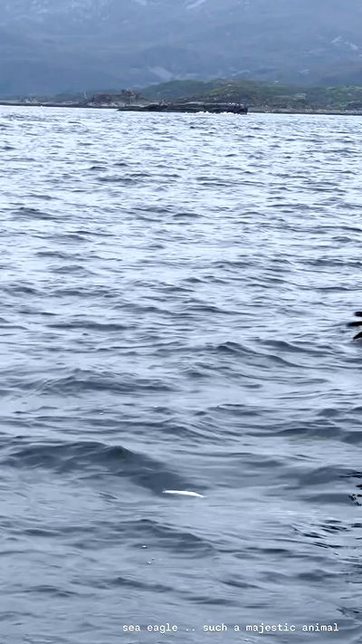 taylor.creeden taylor.creeden archive video