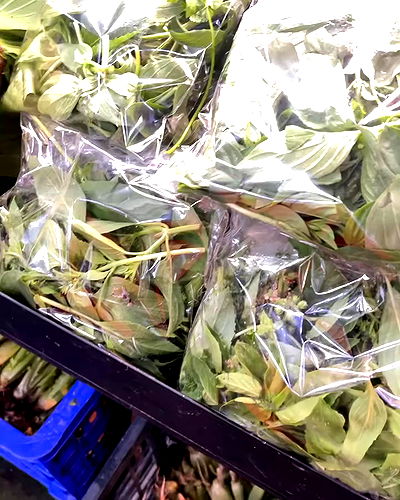 ting851204 ting851204 archive video