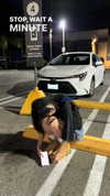 famous_wu24 Altpins Profile Picture