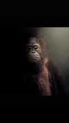 carmaxlla Altpins Profile Picture