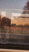 lotembar Altpins Profile Picture