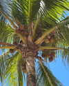 biancanataliie Altpins Profile Picture