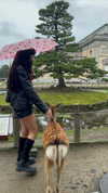liya.barsky Altpins Profile Picture