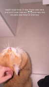 itsilanosh Altpins Profile Picture