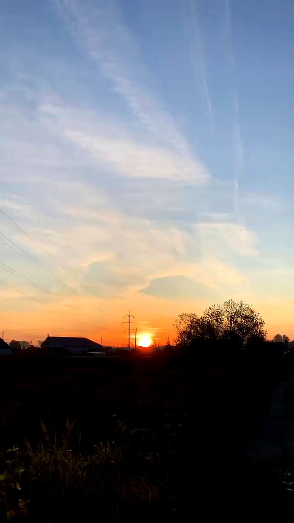 nyityam archive video preview