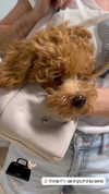 sagi.photo Altpins Profile Picture