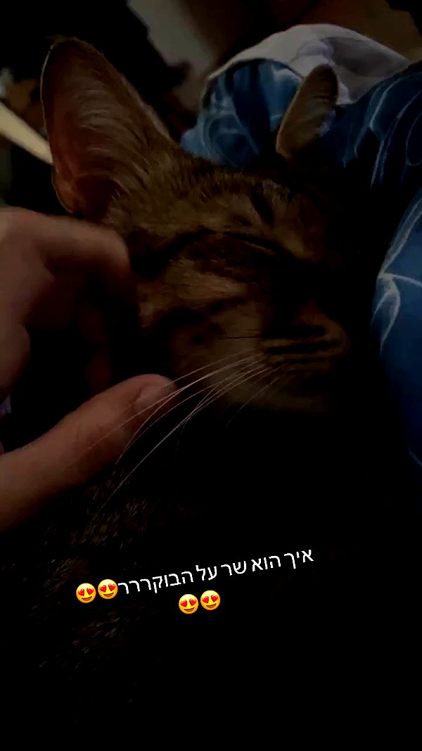 ronyida_ archive video preview