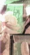 avrillavigne Altpins Profile Picture