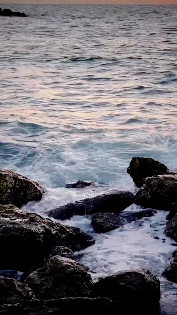 goral.sa archive video preview