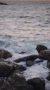 goral.sa Altpins Profile Picture