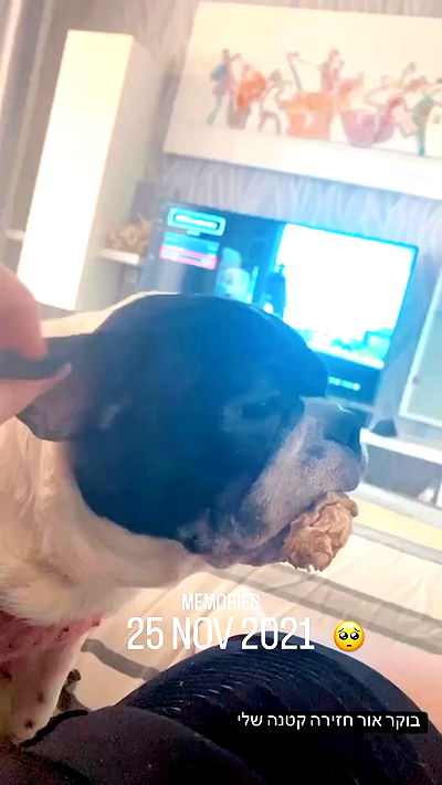 mishel116 mishel116 archive video