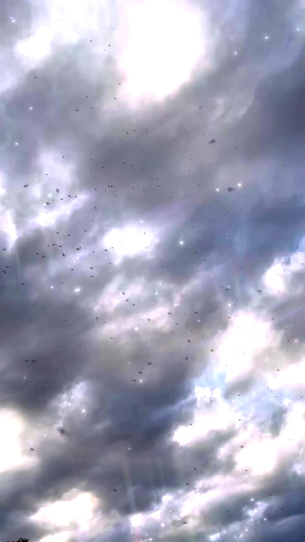 hirari_rurero archive video preview