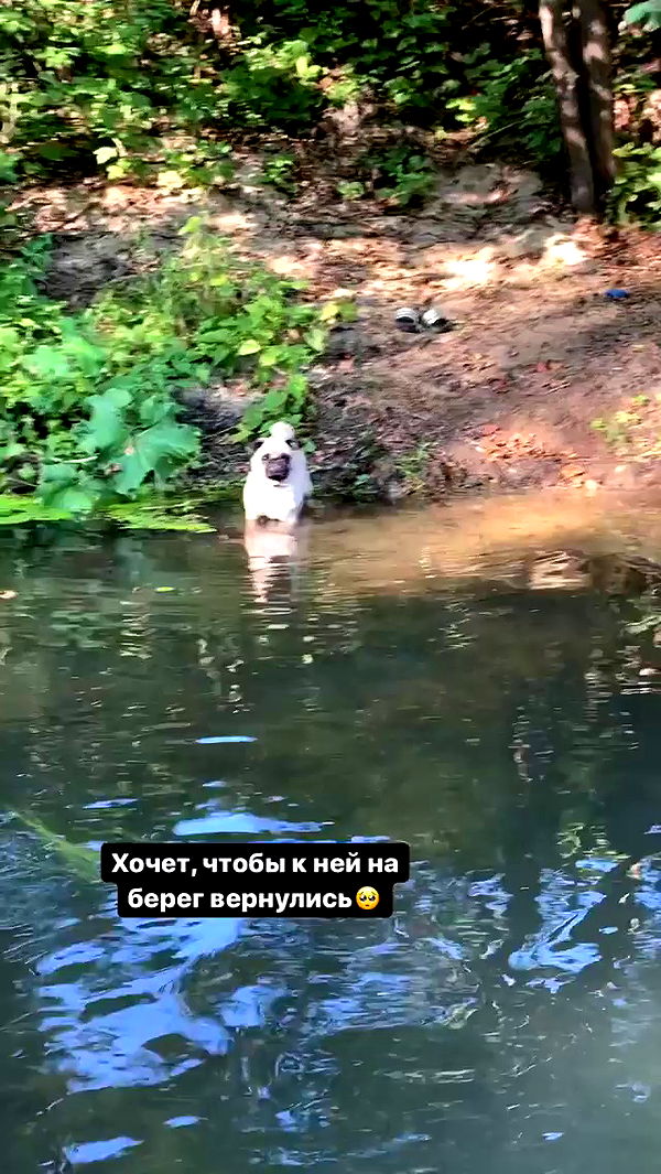 nyityam archive video preview